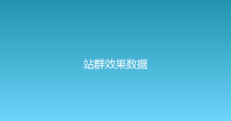站群效果数据 封面图